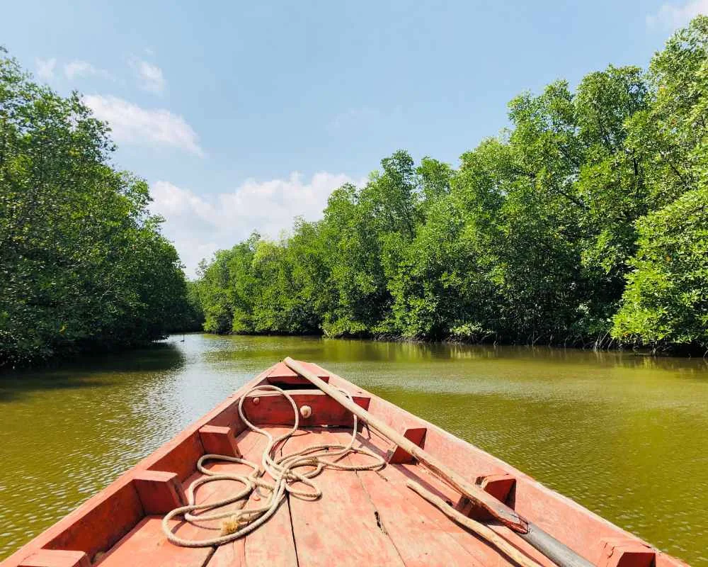 Front view from shared boat in Sundarban river with mangrove trees