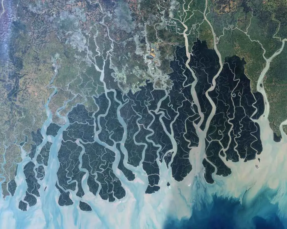Satellite map view of Sundarban showing river delta, forest, and Bay of Bengal