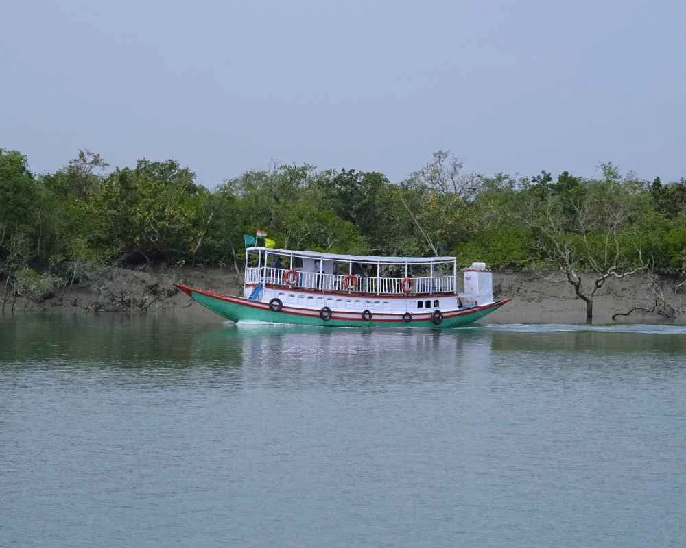 Tourist boat sailing through Sundarban river during forest journey