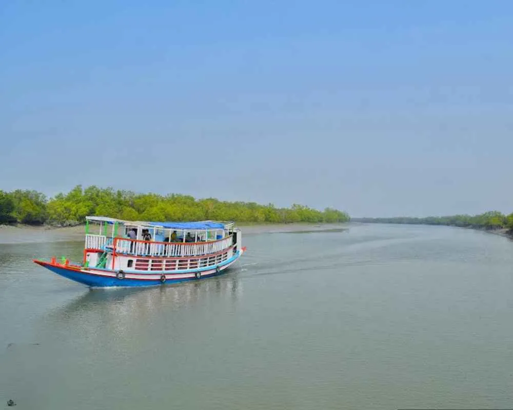 Sundarban boat ride full view with forest
