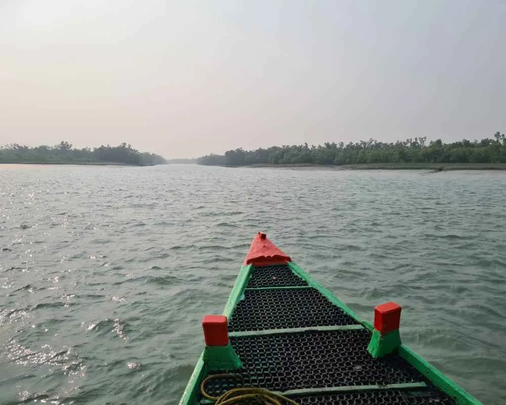 Boat riding in Sundarban river with forest view
