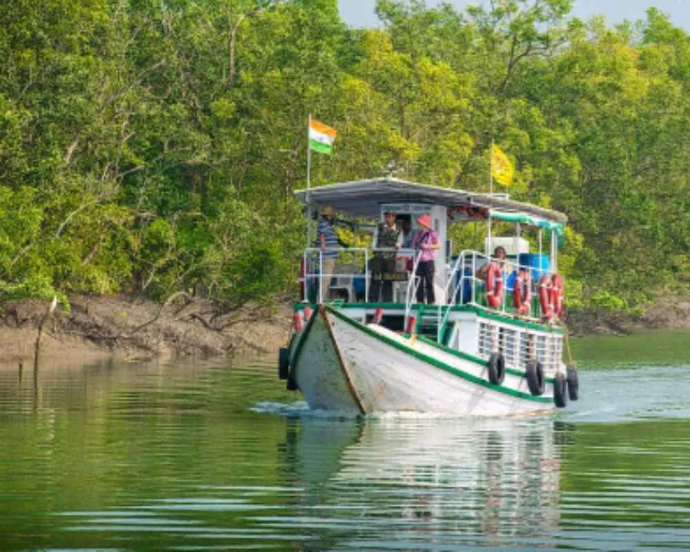 Tourist boat in Sundarban river near forest