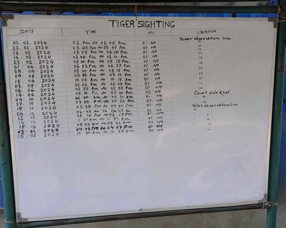 Netidhopani tiger sighting board showing real tiger sightings in Sundarbans