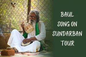 Creative image of Baul song on Sundarban tour with person holding ektara.