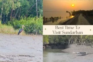 Best time to visit Sundarban shown in three seasons – winter, monsoon, and summer