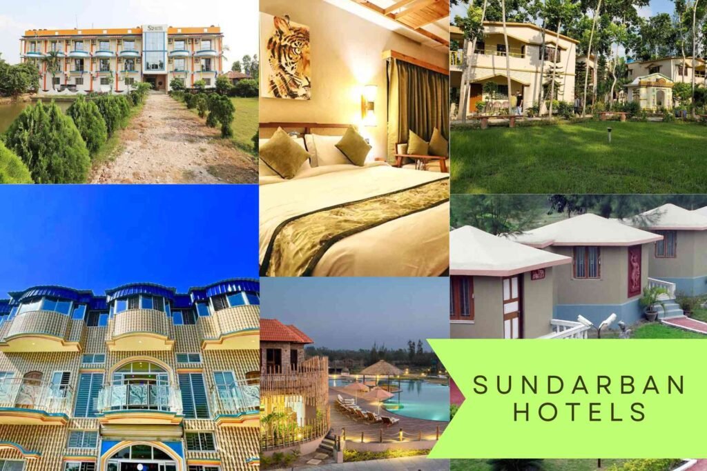Collage of Sundarban hotels including budget stays, cottages, eco-resorts, and luxury 5 star resorts. sundarban hotels​