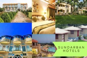 Collage of Sundarban hotels including budget stays, cottages, eco-resorts, and luxury 5 star resorts. sundarban hotels​