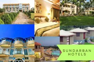 Collage of Sundarban hotels including budget stays, cottages, eco-resorts, and luxury 5 star resorts. sundarban hotels
