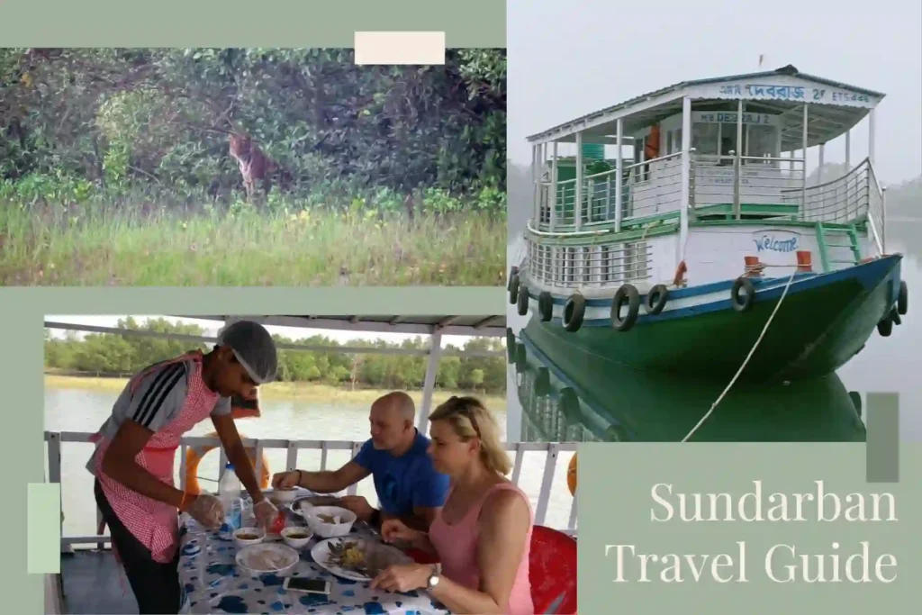 Sundarban Travel Guide with MB Debraj boat dining experience and tiger spotting by riverside