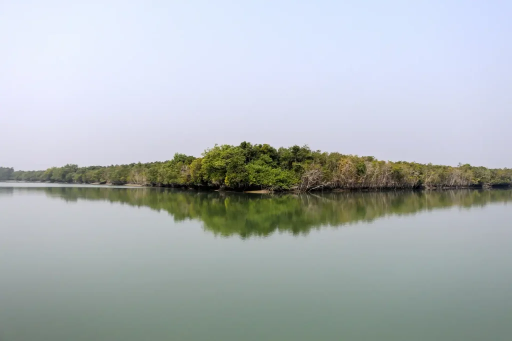 Sundarban mangrove forest river full of water scenic view