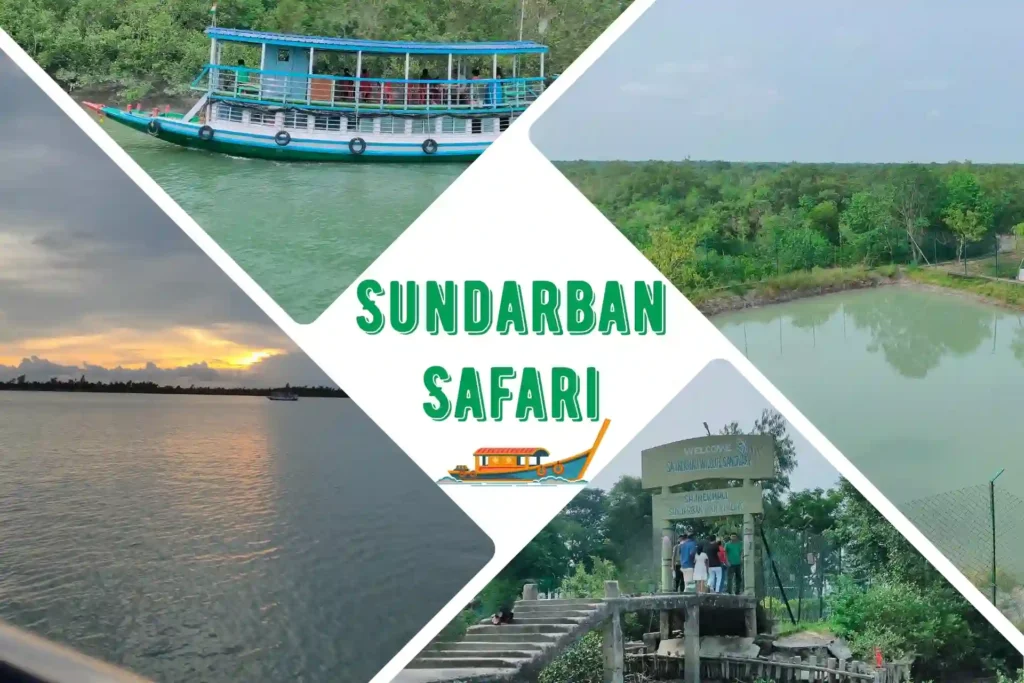 Collage showing Sundarban safari boat, forest watchtower, river view, and mangrove landscape