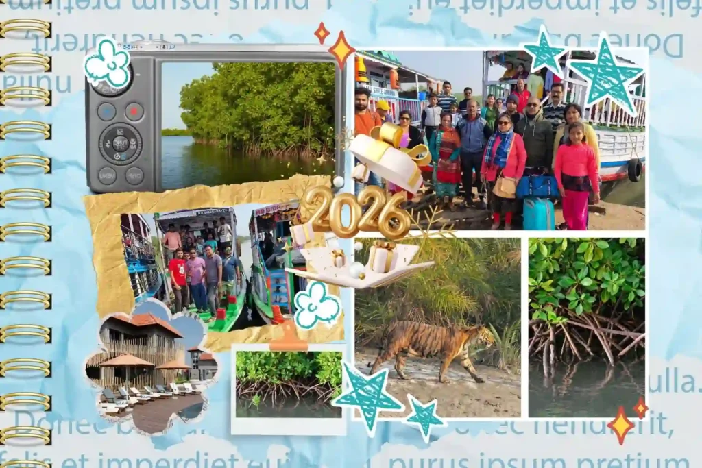 Sundarban New Year tour collage showing mangrove forest, tourists, rivers, hotels, and boat safari