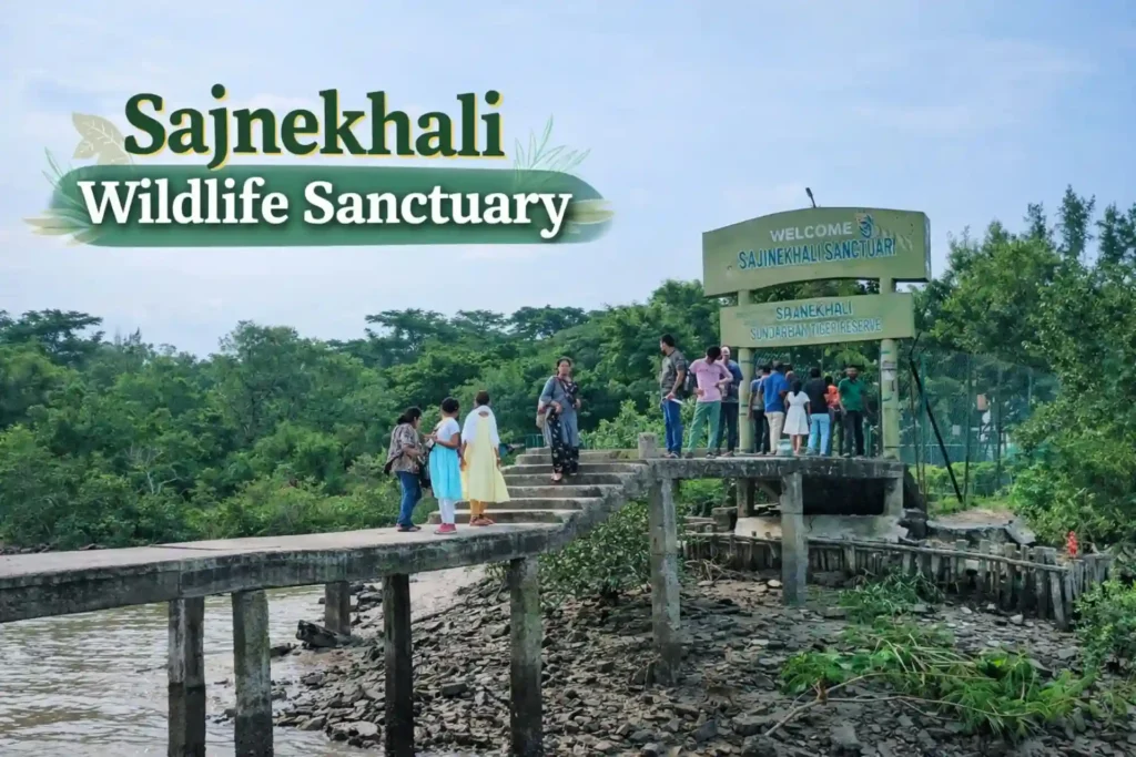 Tourists walking at Sajnekhali Wildlife Sanctuary ferry ghat in Sundarbans