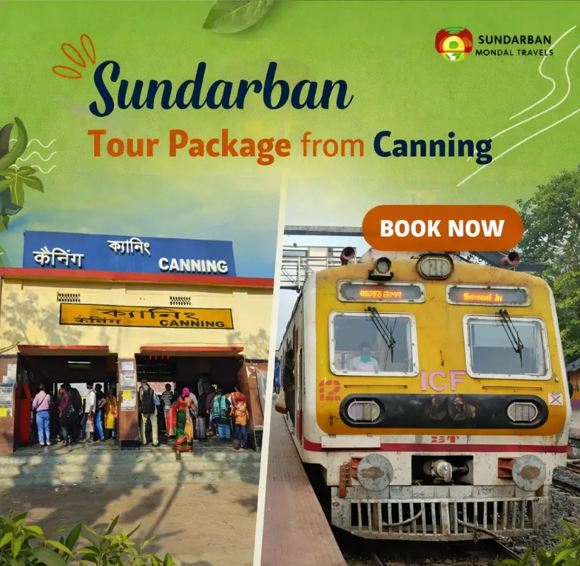 Sundarban tour package from Canning showing Canning railway station, local train, and Sundarban forest