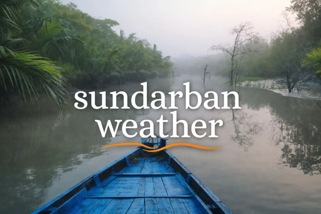 Boat riding through a small creek in Sundarban during pleasant weather