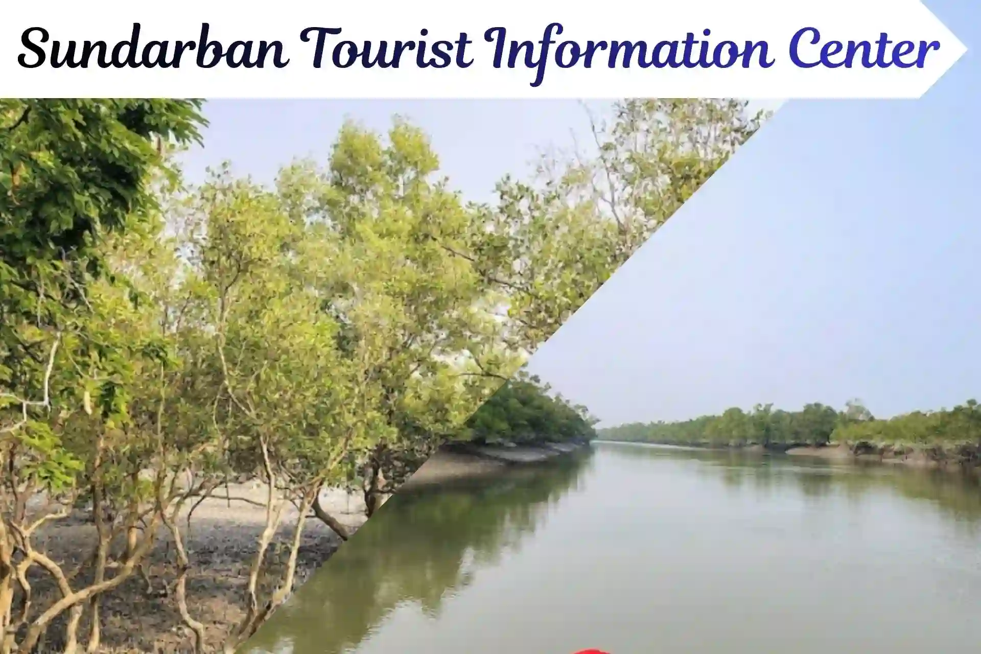 Clean view of Sundarban mangrove forest and river for travel information and tourism guidance