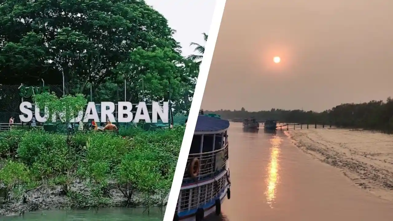 Sundarban custom tour planning featuring Sajnekhali Watch Tower and ferry ghat boat services