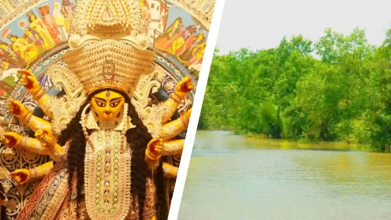 Sundarban forest and Durga Puja celebration representing holiday tour package
