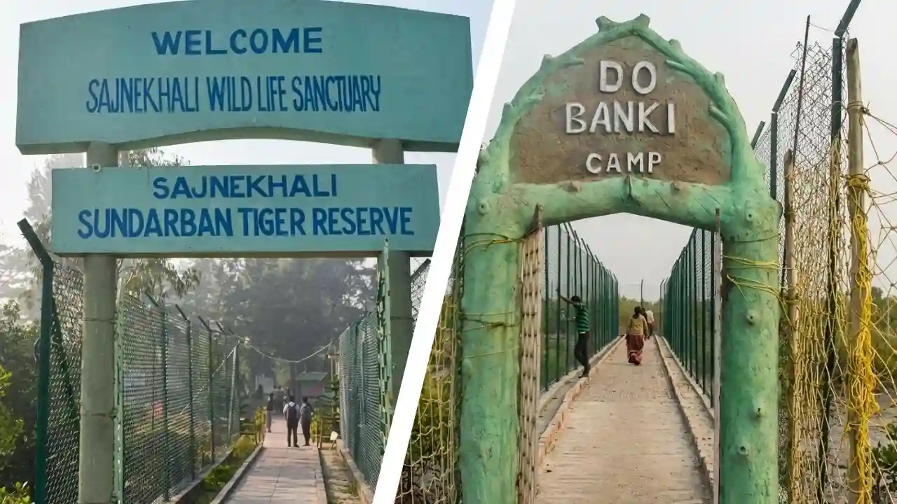 Sajnekhali Watchtower and Dobanki entry gate during Sundarban sightseeing tour