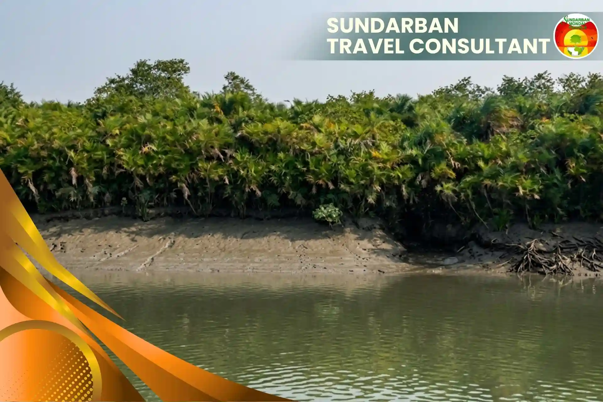 Dense mangrove forest representing professional Sundarban Travel Consultant services