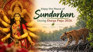 Durga Puja Sundarban Tour 2026: Packages, Cost & Best Time Durga and Royal Bengal Tiger