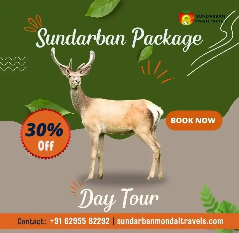 1 Day Sundarban Tour Package banner with deer and 30% discount