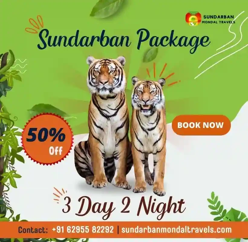 3 Days 2 Nights Sundarban Tour Package banner with tigers and 50% discount