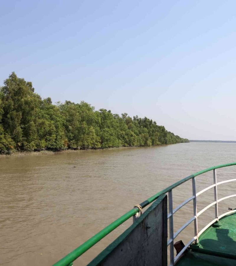 Sundarbans river and mangrove forest view from boat