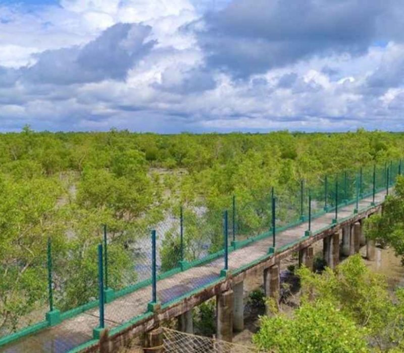 dobanki canopy walk bridge