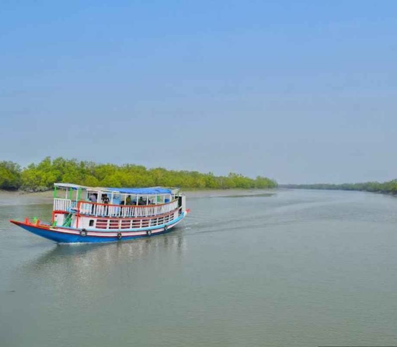 Sundarban boat ride full view with forest