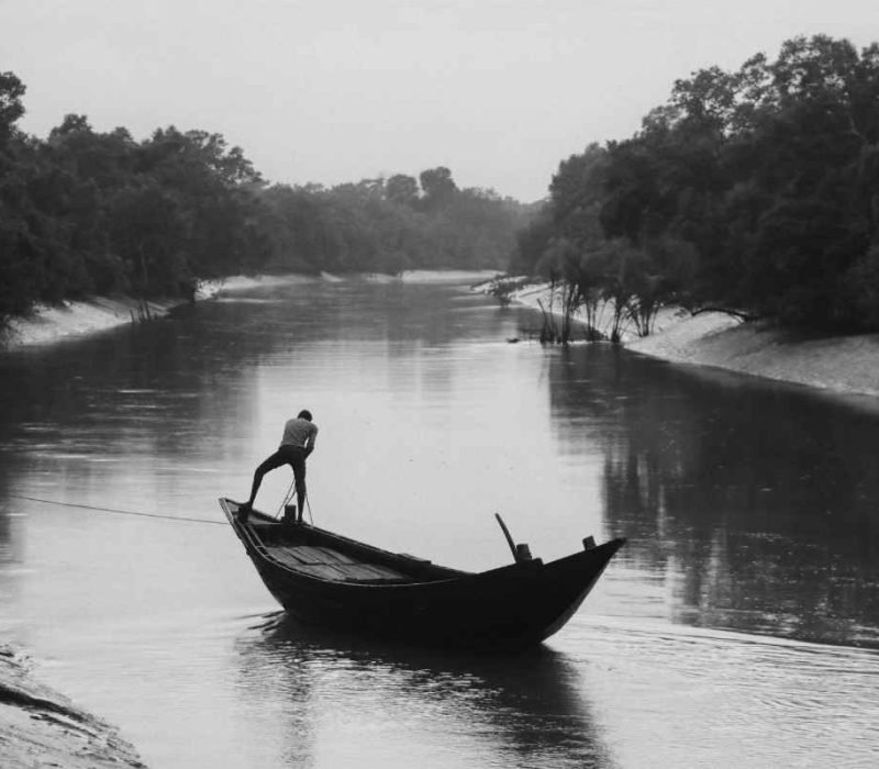 Local fisherman docking ferry boat in Sundarban forest
