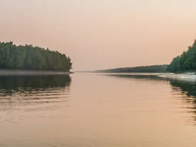Sundarban river surrounded by lush mangrove forest